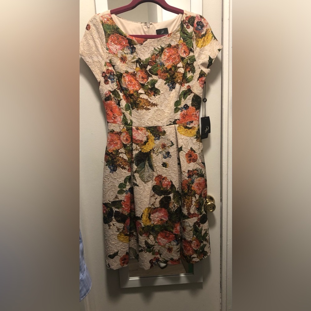 NWT Adrianna Papell Dress size 4